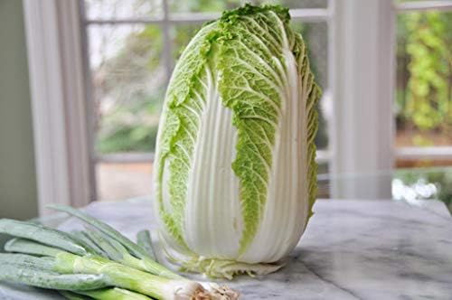 Seeds Vegetable Napa Cabbage Chinese Green - 300 Seeds - Image 6