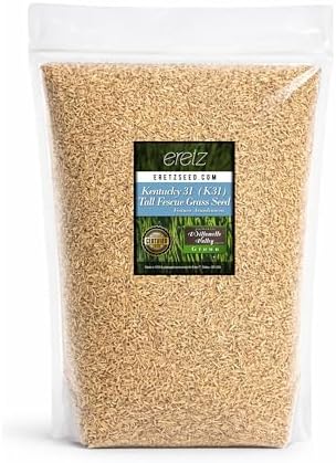 Kentucky 31 K31 Tall Fescue Grass Seed by Eretz - Choose Size! State Certified, No fillers, No Weed or Other Crop Seeds (5lbs) by Eretz