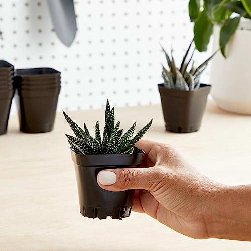 Juvale Square Nursery Pots - Seedling Planters with Drainage Holes - Versatile Pots for Plants & Succulents - Space-Saving Stackable Planters - 2.6 in, Pack of 150, Black - Image 2