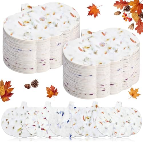 Dunzoom 50 Pcs Plantable Seed Paper Tags Wildflower,Pumpkin Shape by Dunzoom