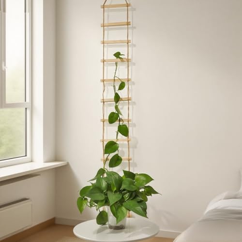 Plant Ladder Indoor Plants Hanging Wooden Trellis Vine Support - Image 6