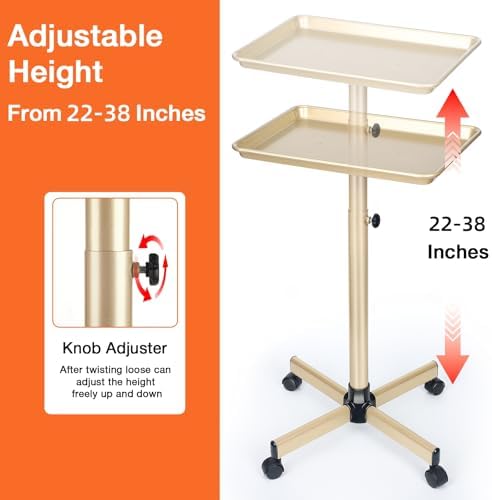 Salon Tray on Wheels, Champagne Gold Salon Tray Cart with Adjustable Height, Hair Stylist Tray, Metal Tattoo Tray, Suitable for SPA and Dental Tray - Image 2