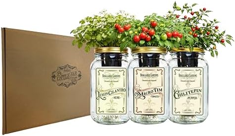 Salsa Garden Mason Jar Grow Kit (3 Pack) – Tiny Tim Tomato, Lemon Cilantro & Chiltepin Pepper – Indoor Hydroponic Herb & Vegetable Grow Kit – Windowsill Salsa Ingredient Garden - Image 6