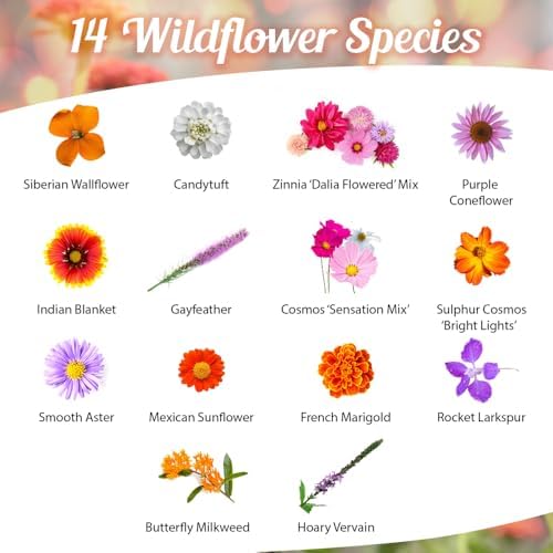 BBB Seed Monarch Butterfly Wildflower Seeds, Milkweed Mix, 1 oz (Pack of 2) - Image 2
