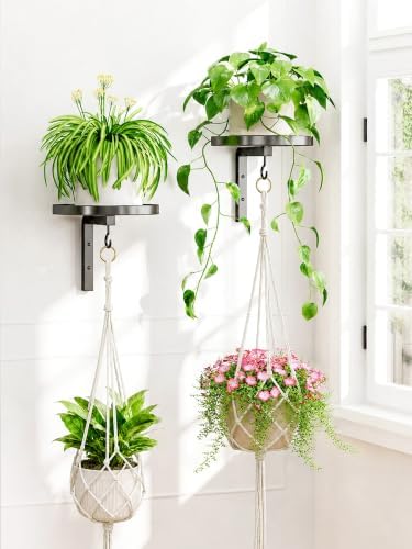 Wall Plant Holder with Macrame Hanger 2 Pack for Indoor, Black by iDavosicly