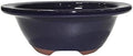 Brussel's Bonsai - Medium Ceramic Bonsai Planter, Oval Shape Bonsai Pot by BrusselsBonsai
