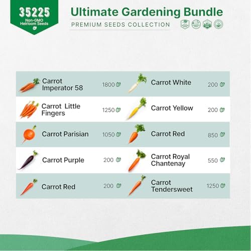 25 Winter Vegetable & Greens and 10 Carrot Seeds Variety Pack Bundle, 35,200+ Non-GMO Heirloom Garden Seeds for Planting Vegetables for Indoor & Outdoor Gardening - Image 4