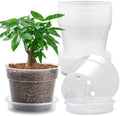 12 Pack 7 Inch Clear Nursery Pots with Saucer, Transparent Plastic Plant Pots with Drainage Holes, Sturdy Plant Starter Pots, Planter Pot for Planting Succulent Flower Herb Vegetable, Gardening Gifts by BTPLASTIK