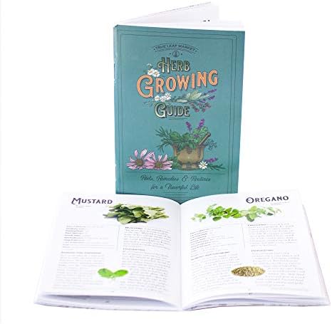 Sustainable Seed Co Culinary Herb Seeds Variety Pack – 10 Non-GMO - Image 3