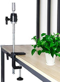 ZQIAN BEAUTY Scalable Wig Stand C Clamp Wig Head Stand Metal Mannequin Head Stand Holder Adjustable Height C-Clamp Table Stand Holder for Wig Doll Head by ZQIANBEAUTY
