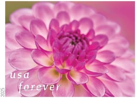 Dahlias 2025 (Book of 20) First-Class Mail Forever Postage Stamps - Image 6