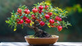 30 Red Pomegranate Bonsai Tree Seeds for Planting by CZGrain