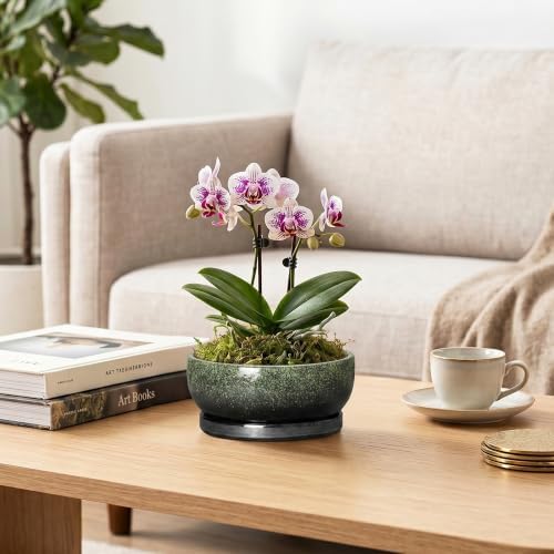 6 Inch Ceramic Succulent Pots for Indoor Plants, Speckle Green - Image 5