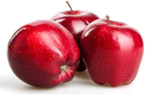 American Plant Exchange Live Red Delicious Apple Tree, Fruit-Bearing Plant Pot for Harvest and Home and Garden Decor, 2-3' Tall, 1-Gallon Pot - Image 3