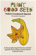 Organic Crookneck Summer Squash Seeds: 35 Count by ThePlantGoodSeedCompany