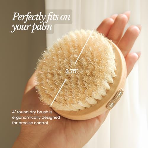 Bare Botanics Dry Brushing Body Brush for Lymphatic Drainage - Image 5