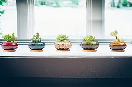 Cute Ceramic Succulent Garden Pots, Planter with Drainage and Attached Saucer, Set of 5 -Plants Not Included (Burner) - Image 4
