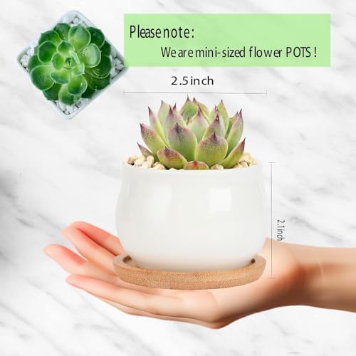 SHECIPIN Succulent Plant Pot, White Mini 2.6 inch Ceramic Flower Planter Pot with Bamboo Tray, Pack of 8 - Plants Not Included - Image 4