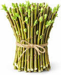 Hybrid Willow Tree Cuttings – Fast Growing Privacy & Shade Trees – Easy to Root Live Cuttings – Cold Hardy, High Yield Trees for Screens & Windbreak (25 Cuttings) by CZGrain