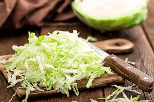 6000+ Green Cabbage Seeds for Planting - Heirloom Non-GMO - Image 4