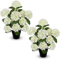 2.2FT White Hydrangea Artificial Flowers Tree 2 Pack Faux Hydrangea Potted by Hollyone
