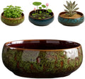 Oncpcare Lotus Bowl Planter – Glazed Ceramic Indoor Plant Bowl Lotus Pot for Lotus Seeds, Bonsai, Succulents | Shallow Hydroponic Decorative Oriental Flower Bowl (Green) by Oncpcare