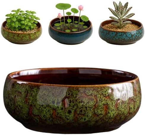 Oncpcare Lotus Bowl Planter – Glazed Ceramic Indoor Plant Bowl Lotus Pot for Lotus Seeds, Bonsai, Succulents | Shallow Hydroponic Decorative Oriental Flower Bowl (Green) by Oncpcare