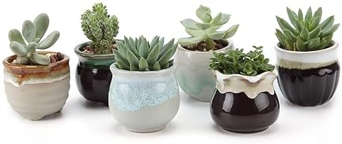 T4U Mini Ceramic Succulent Pots, Small Gift Planters, Retro Decor Set of 6 by T4U