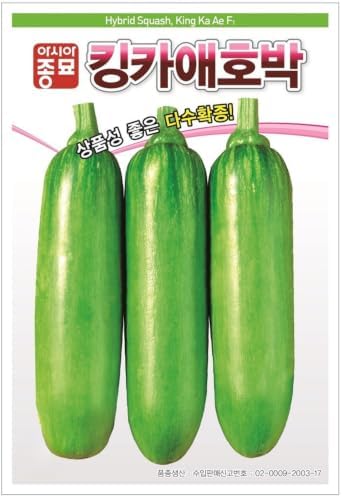 Korean Squash (Aehobak) Zucchini Seeds – Traditional Korean Summer Squash Variety for Home Gardens by Unknown
