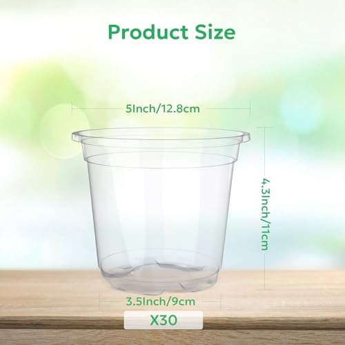 Bluepro Clear Nursery Pots with Drainage Holes, 5 Inch, 30-Pack - Image 2