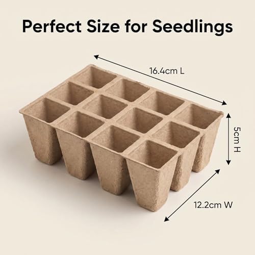 240 Cells Seed Starter Tray: Biodegradable Peat Pots – 20 Pack Plant Starter Kit with Seedling Trays for Indoor Outdoor Vegetable Herb Flower Germination – Reusable Sprouting Kit for Microgreens - Image 3