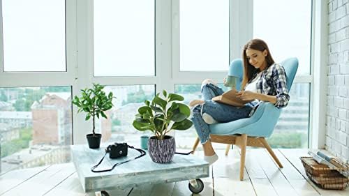 AlphaAcc Fake Faux Fiddle Leaf Fig Cement Planter Housewarming Desk Decor - Image 3