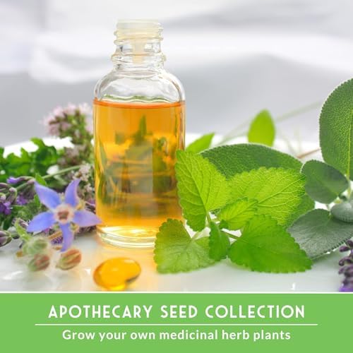Medicinal Herb Seeds for Planting, 18-Variety Heirloom Non-GMO Pack - Image 4