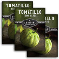 Toma Verde Tomatillo Seeds for Planting - 3 Packs by SurvivalGardenSeeds