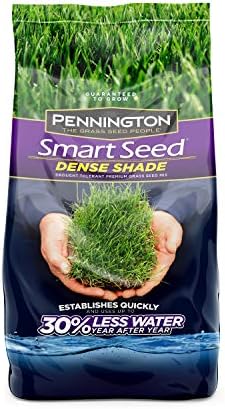 Pennington Smart Seed Dense Shade Grass Seed, 3 lb (100086851) by Pennington