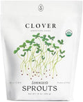 Organic Clover Sprout Seeds (16 oz) – Non-GMO, Heirloom Seeds for Sprouting and Microgreens by Sereniseed