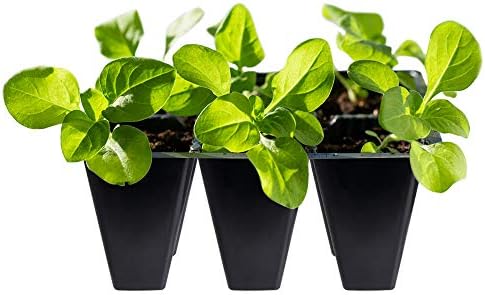 Gardzen 30 Pack 6-Cell Seed Starting Tray for Seedlings, Plant Starter Trays with Drainage Holes for Seed Germination, 5.4x3.7 inches, Black - Image 4