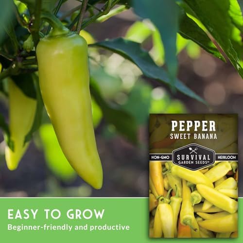 Sweet Banana Pepper Seeds for Planting – Survival Garden Seeds (5 Pack) - Image 5