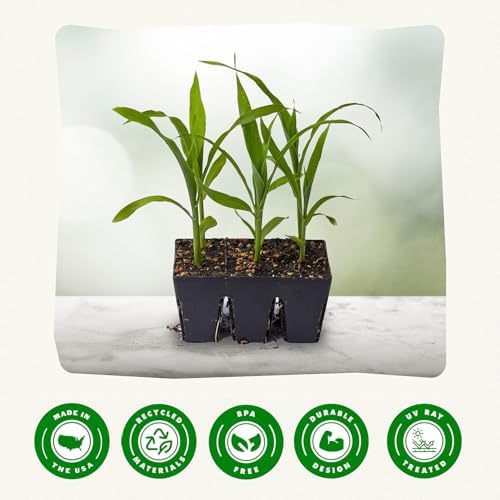 Epic Gardening 6-Cell Seed Starter Tray - 48 Trays - Black - Image 6