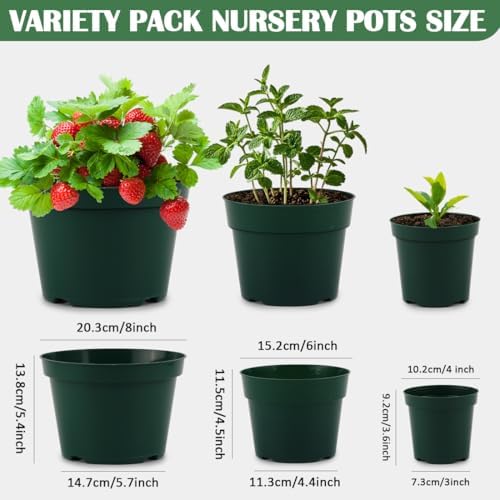 RooTrimmer 15 Pack 4/6/8 Inch Plant Nursery Pots, Sturdy Plant Pots with Drainage Holes, Ideal for Seedlings, Indoor/Outdoor Use, Green - Image 2