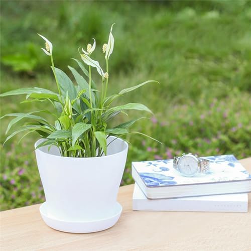 Tergy 50 Pack 4 Inch Plant Pots Bulk Small Plastic Planters Pots with Drainage Holes Flower Pot for Succulent, Cactus, Herb, African Violet (50pcs-White, 4Inches) - Image 5