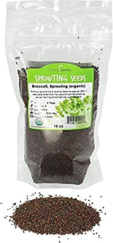 Handy Pantry Broccoli Sprouts Seed Organic - 1 Lb - Non-GMO Broccoli Seeds by HandyPantry