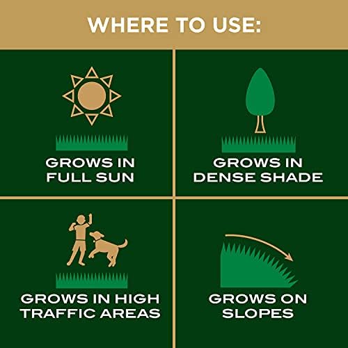 Scotts EZ Seed Patch & Repair Tall Fescue Lawns, 10 lbs. (2-Pack) - Image 7