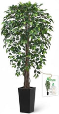 Aveyas 6ft Artificial Ficus Tree for Home Decor with Black Pot, 6 Feet Faux Plant Fake Silk Trees for Indoor Outdoor House Living Room Office Garden (6 ft Tall Including Raised Pot) by Aveyas