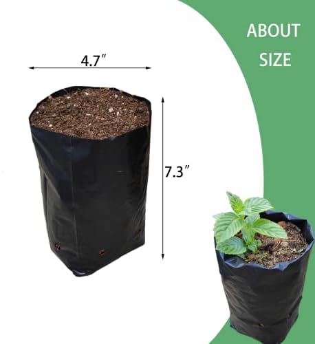 Belit 100 Pcs Plant Nursery Bags, Plastic Seedling Pots Container for Fruit Tree, Flower, Starting saplings, Plant Grow(4.7"x7.3") - Image 5