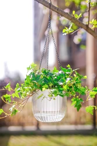 Melphoe 2 Pack Self Watering Hanging Planters Indoor Flower Pots, 6.5 Inch Outdoor Hanging Plant Pot Basket, Plant Hanger with 3Hooks Drainage Holes for Garden Home - Image 3