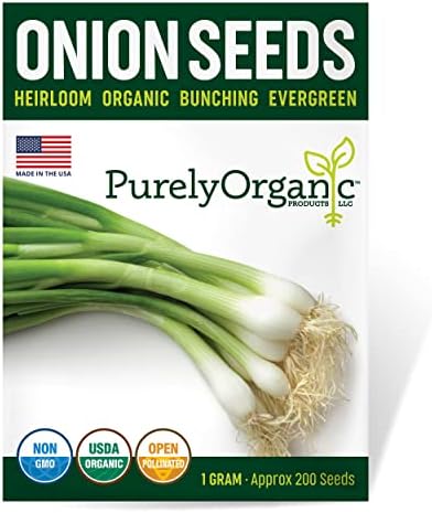 Organic Onion Seeds (Bunching Evergreen) - Approx 200 Seeds - USDA Organic, Non-GMO, Open Pollinated, Heirloom, USA Origin by Purely+Organic+Products+LLC