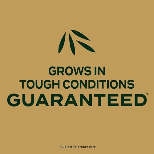 Scotts EZ Seed Patch & Repair Zoysia Grass, 3.75 lbs. - Image 3