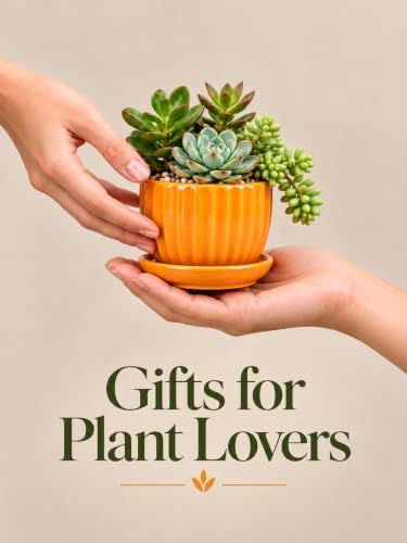 4/5/6 Inch Ceramic Pots for Plants Indoor Drainage Saucer Gifts for Mom - Image 7