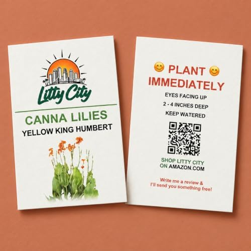 Yellow and Orange Canna Lily Rhizomes/Bulbs, Yellow King Humbert (12) - Image 6